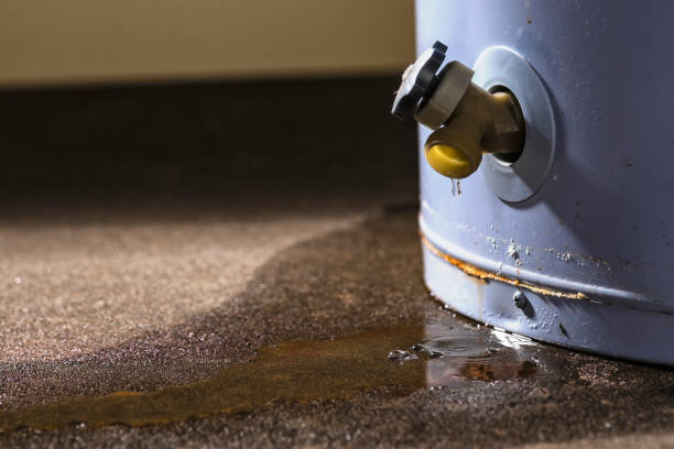 Best Basement water damage restoration  in Wolfdale, PA