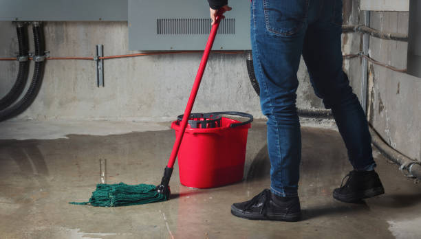 Best Basement water damage restoration  in Wolfdale, PA