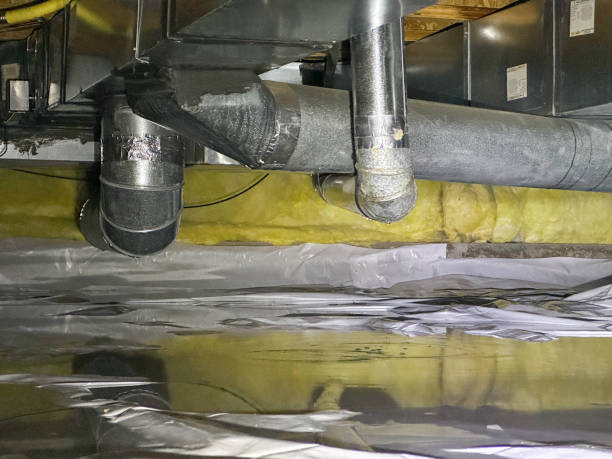 Best Flooded house restoration  in Wolfdale, PA